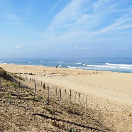 Dune Blanche-2 By Interhome Apartamento