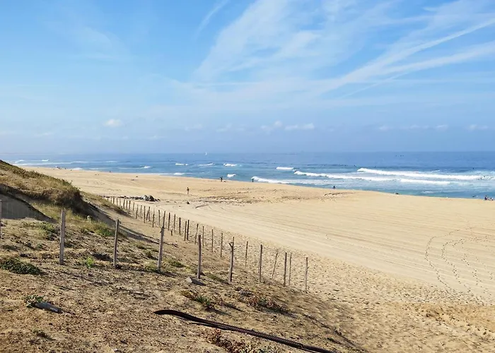 Dune Blanche-2 By Interhome Apartment