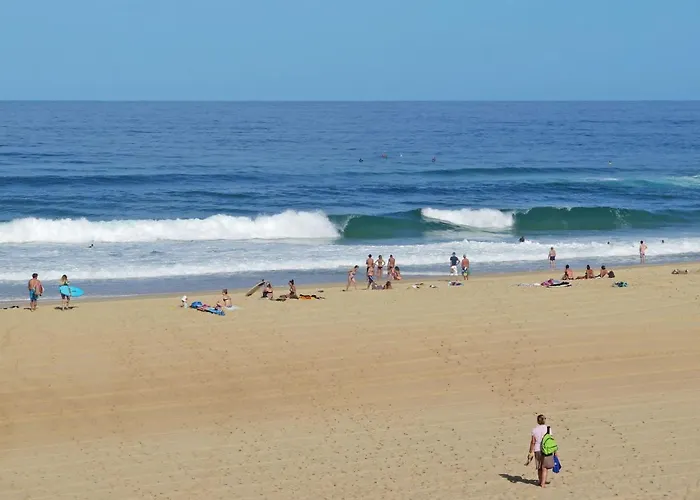 Apartment Dune Blanche-2 By Interhome *